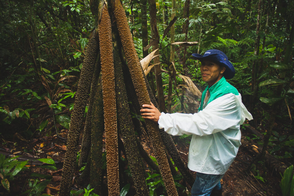 guia en la selva