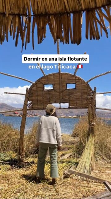 Increíble la experiencia de dormir en una isla flotante en medio se lago Titicaca! 😮🇵🇪

Si también quieres vivirlo, debes saber algunas cosas importantes.

El lago Titicaca se divide entre dos paises Perú y Bolivia. Las islas flotantes de los Uros se encuentran en el lado peruano.

✈️La ciudad más cercana para llegar es Puno. Se puede llegar desde Lima en avión (al aeropuerto de Juliaca) o se puede llegar en bus desde Cusco o Arequipa.

Se recomienda idealmente ir subiendo de a poco en la altura, ya que son 3800 msnm ( y se sienten 😬) 
Si no estas acostumbrado a la altura, las recomendaciones son hidratarse mucho, comer liviano, no beber alcohol y no sobreexigirse. 

También puede tomar té de coca y/o comprar pastillas para el soroche en la farmacia ( así le dicen al mal de altura)

🚤 Desde Puno salen las embarcaciones que te llevan a las islas Uros. Hay más de 190 islas flotantes en el Titicaca. 

Muchos Uros ya no viven en las islas, y solo van por el día a trabajar y luego se devuelven a la ciudad.Por lo que para tener una experiencia más auténtica recomendamos hospedar en una isla con locales.

🏠 Nosotros hospedamos en @uros_quechua donde fuimos súper bien recibidos por Jenny y Manuel quienes viven en la isla con su familia y se dedican a esto con mucho amor y profesionalismo. 

Los valores del alojamiento incluyen desayuno y varían según temporada. (consultar antes). A nosotros nos costó 110 soles 🇵🇪- 30.500 pesos 🇨🇱 31 dólares 🇺🇸 por noche

💩Para los que se preocupan por el baño, estos alojamientos tienen baño con agua, y un sistema que va directo a un caja con lombrices quienes se preocupan de convertir los desechos en fertilizante.

💡También tienen luz y electricidad gracias a un sistema de paneles solares, que también calientan el agua de la ducha. 

🍲Además la isla cuenta con restaurante, para almuerzo o cena a 25 soles 🇵🇪- 7.000 pesos 🇨🇱 - 7 dólares 🇺🇸el plato.( hay opciones vegetarianas)

El traslado desde el puerto al alojamiento cuesta 30 soles -8.000 pesos 🇨🇱- 8 dólares 🇺🇸por trayecto. 

Agradecidos y felices de Perú por esta increíble experiencia 🫶🇵🇪

#titicaca #peru #visitperu #puno