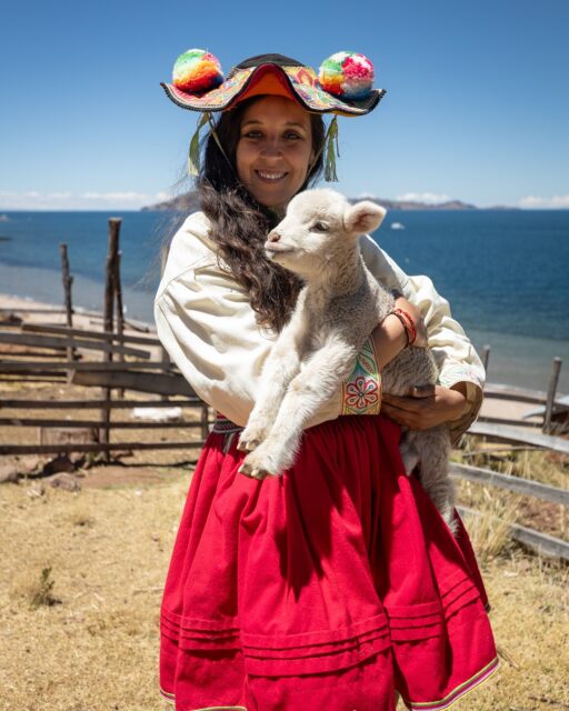 Estuvimos viviendo el turismo comunitario rural en Perú. ¡Y fue una tremenda experiencia!🫶🦙🇵🇪

A 3800 mts de altura y con una vista alucinante del lago Titicaca, viven distintas familias de la etnia quechua que por generaciones han hecho su vida a orillas del lago. 

En el pueblo de Llachón ( a 2 horas de Puno) no hay comodidades como transporte público, supermercados o cajeros automáticos, pero hay una sensación de paz, que ya la quisiera cualquier ciudad con todas las “comodidades” que se buscan ahora. 

Actualmente como una forma de mantener su estilo de vida, muchas familias abrieron las puertas de sus casas al turismo y así consiguieron mantener sus tradiciones vivas y compartirlas al mundo.🌎 🙌🏼

Nosotros hospedamos en @casa.de.luisyantonia una hermosa pareja con 5 hijos, que hace algunos años decidieron hacer del turismo su forma de ganarse la vida. 
Para esto te acogen como si fueras un integrante más de la familia, en la casa que adaptaron para recibir cómodamente a sus amigos (como les dicen a los turistas que van a visitarlos).

Antes de esto Antonia cocinaba y vendía sus tejidos  y Luis tenía que ir a trabajar a Puno, que está a 2 horas de la ciudad, pasando largas jornadas o incluso días, lejos de su familia. 

Por esto ellos están muy agradecidos del turismo, que les permite pasar más tiempo en familia y no perder el poder seguir haciendo sus actividades diarias como cuidar animales, tejer en telar, plantar y cosechar alimentos. 

El alojamiento que ellos ofrecen es hermoso! e incluye el hospedaje en habitaciones privadas o compartidas(con baño compartido) comidas (desayuno,almuerzo y cena) y actividades típicas como hacer pulseras de lana, vestir su trajes típicos, alimentar y cuidar animales, cocinar con ellos, cosechar alimentos (si es que es temporada) , hacer shampoo de plantas, entre otras. El valor es de 90 soles 🇵🇪 25.000 pesos 🇨🇱por persona por noche.

Perú tiene una cultura muy rica y es un tesoro poder experimentarla de cerca. Esperamos volver y seguir aprendiendo tantos saberes olvidados en el mundo moderno, que son fundamentales para la vida.🙏🏼

Gracias por tanto Perú😘

#peru #puno #turismoperu