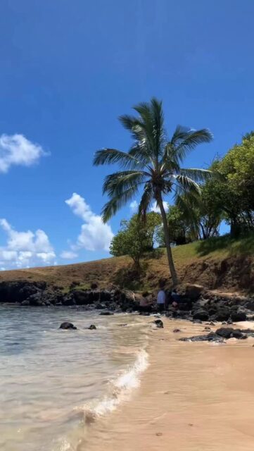 Aportemos con un granito de arena y no con otro granito de plástico. ♻️💪🏼

🌊 Rapa Nui está dentro de un sistema de corrientes que acumula plástico en el Pacífico Sur, lo que hace que reciba basura marina proveniente de otros continentes.

🏖️ El microplástico en el mar es un problema global. Estas partículas diminutas se mezclan con la arena y el mar, son ingeridas por peces y aves, y entran en la cadena alimenticia, afectando el ecosistema y las comunidades.

🏝️ Al ser el lugar habitado más remoto del mundo, la gestión de residuos es muy difícil y limitada.

¿Cómo podemos ayudar? 

🥤Reduce el consumo de plástico de 1 solo uso. 
 
💧 Usa una botella de agua reutilizable.

♻️ Recicla lo que consumes. Lava, seca y separa los envases por categoría, plástico, vidrio, cartón y latas. Busca el punto de reciclaje más cercano, o mejor aún llévatelo en tu maleta al continente y recíclalo ahí.

🫶 Únete a las actividades de limpieza costera que se realizan constantemente.

Se el cambio que quieres ver en el mundo. 🌍 🙏🏼

#rapanui #isladepascua #chile #reciclaje